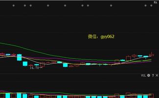 宋連城 股市名人宋連城 同花順財經(jīng)