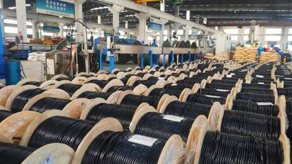 上海浦東電纜集團全球化5G裝備專用電線電纜項目投產