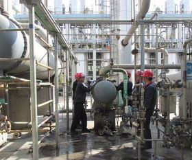 龔臘梅 環(huán)保公司有機廠全面 打響 2017年大檢修技改 攻堅戰(zhàn)